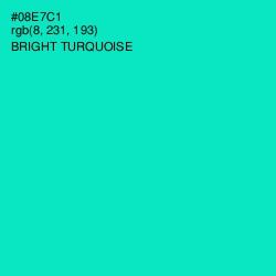 #08E7C1 - Bright Turquoise Color Image