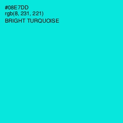#08E7DD - Bright Turquoise Color Image