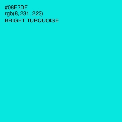 #08E7DF - Bright Turquoise Color Image