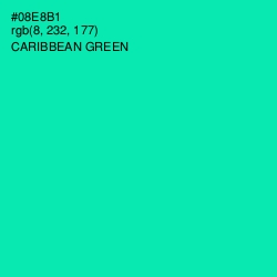 #08E8B1 - Caribbean Green Color Image