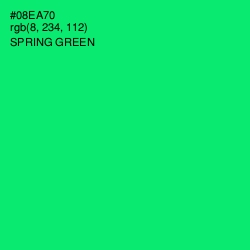 #08EA70 - Spring Green Color Image