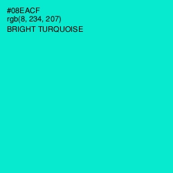 #08EACF - Bright Turquoise Color Image