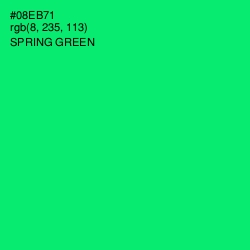 #08EB71 - Spring Green Color Image