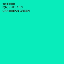 #08EBBB - Caribbean Green Color Image