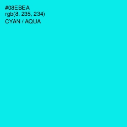 #08EBEA - Cyan / Aqua Color Image