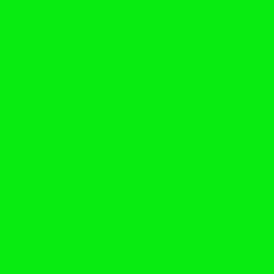 #08EC12 - Green Color Image
