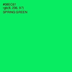 #08EC61 - Spring Green Color Image