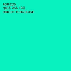 #08F2C0 - Bright Turquoise Color Image