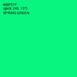 #08F57F - Spring Green Color Image