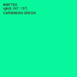 #08F79D - Caribbean Green Color Image