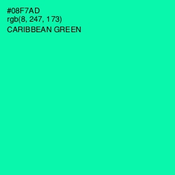 #08F7AD - Caribbean Green Color Image