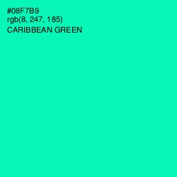 #08F7B9 - Caribbean Green Color Image