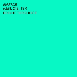 #08F8C5 - Bright Turquoise Color Image