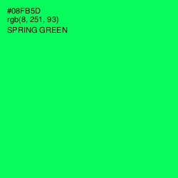 #08FB5D - Spring Green Color Image