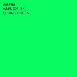 #08FB61 - Spring Green Color Image