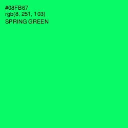#08FB67 - Spring Green Color Image