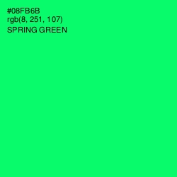 #08FB6B - Spring Green Color Image