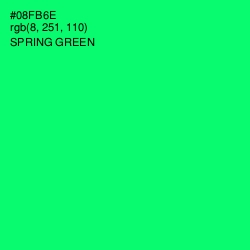 #08FB6E - Spring Green Color Image