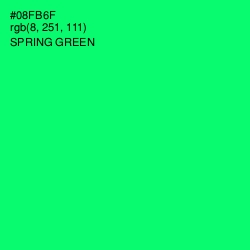 #08FB6F - Spring Green Color Image