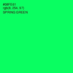 #08FE61 - Spring Green Color Image