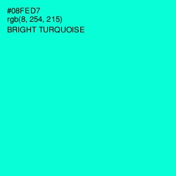 #08FED7 - Bright Turquoise Color Image