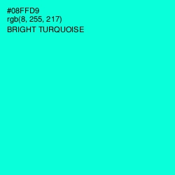 #08FFD9 - Bright Turquoise Color Image