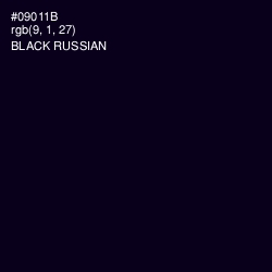 #09011B - Black Russian Color Image