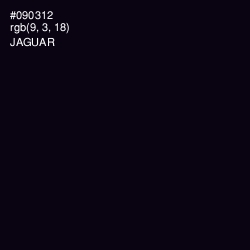 #090312 - Jaguar Color Image