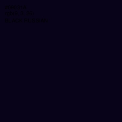 #09031A - Black Russian Color Image