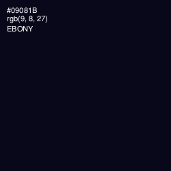 #09081B - Ebony Color Image