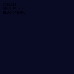 #090A24 - Black Pearl Color Image