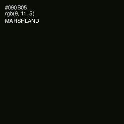#090B05 - Marshland Color Image