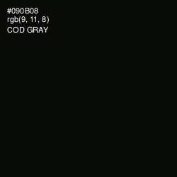 #090B08 - Cod Gray Color Image