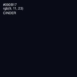 #090B17 - Cinder Color Image
