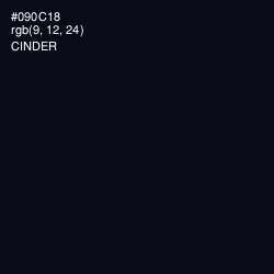 #090C18 - Cinder Color Image