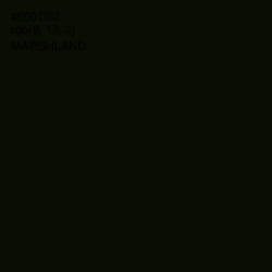 #090D02 - Marshland Color Image