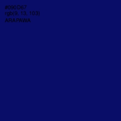 #090D67 - Arapawa Color Image