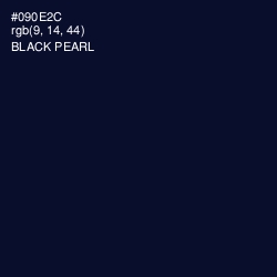 #090E2C - Black Pearl Color Image