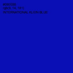 #090EB5 - International Klein Blue Color Image