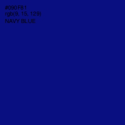 #090F81 - Navy Blue Color Image