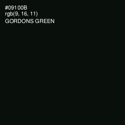 #09100B - Gordons Green Color Image