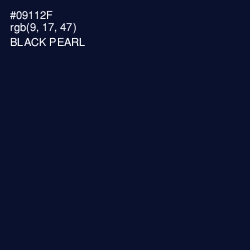 #09112F - Black Pearl Color Image