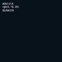 #09121A - Bunker Color Image
