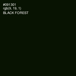 #091301 - Black Forest Color Image
