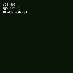 #091507 - Black Forest Color Image