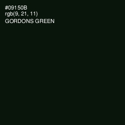 #09150B - Gordons Green Color Image