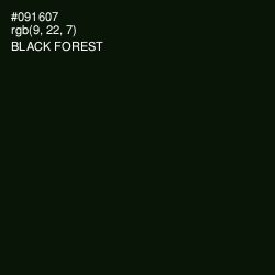 #091607 - Black Forest Color Image