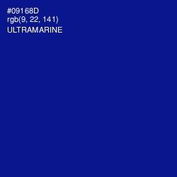 #09168D - Ultramarine Color Image