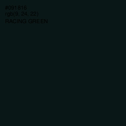 #091816 - Racing Green Color Image