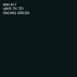 #091817 - Racing Green Color Image